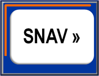 Fähre Ticket mit SNAV